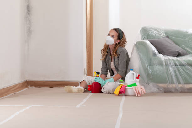 Reliable Mold Remediation contractor in Hillsboro, OR by Mold Remediation HQ