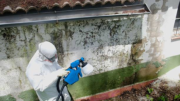 Top rated local Mold Remediation specialists in Hillsboro, OR